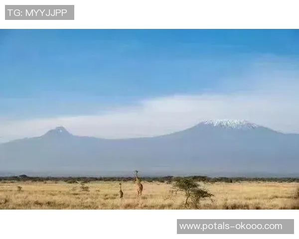 山泽山神与金泽的对决探秘神秘力量与人类智慧的较量