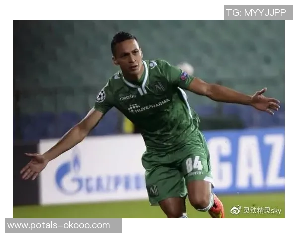 巴西与荷兰比赛前瞻分析及伤停情况详解 巴西与荷兰比赛前瞻分析及伤停情况详解