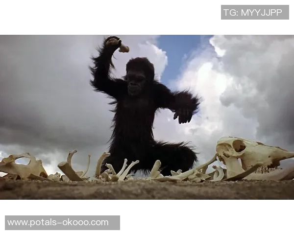 摩顿与南部女王比赛前瞻分析及双方近期状态对比探讨