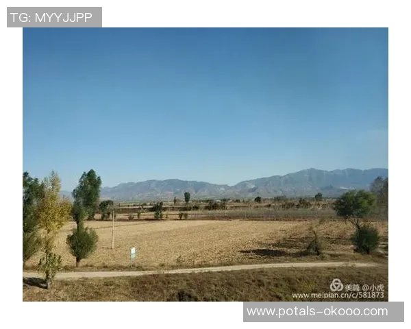 斯通斯的传奇之旅探寻摇滚乐的灵魂与时代的变迁